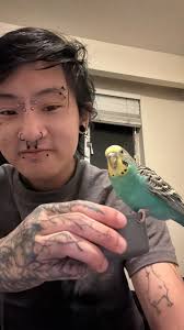 Just found this guy by my house, Alberni and Bidwell, headed from Georgia.  No collar, dropping off at Mountain side for a scan Total sweetheart.  Update: Mountainside wouldn't take him and no