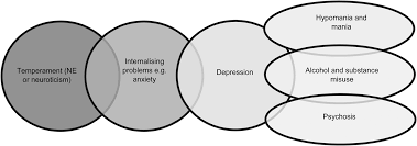 The role of rumination in illness trajectories in youth: linking  trans-diagnostic processes with clinical staging models