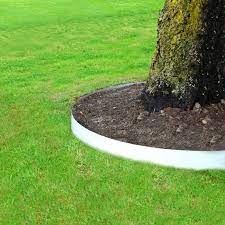 entourage d arbre pvc blanc carres et ronds protection des arbres bordure jardin bordure de jardin jardins