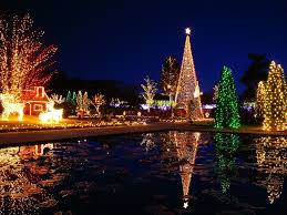 Wallpaper Backgrounds Beautiful Christmas Trees Christmas Tree Wallpaper Christmas Wallpaper Christmas Wallpaper Hd