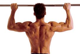 The Perfect Pull Up Workout Routine