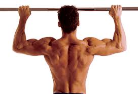 the perfect pull up workout routine