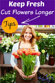 How to keep fresh cut flowers fresh. Keep Fresh Flowers Lasting Beautiful Longer Pro Tips