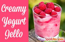 A thick liquid food that tastes slightly.: Yogurt Jello Recipe
