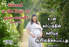 Pin On பன த த ள கள Tamil Bible Verse