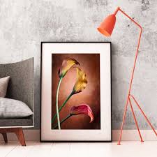Where will you be hanging your print? Fine Art Photo Canvas Giclee Printing Framing Finishing Finerworks