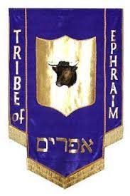 Pin On 12 Tribes Of Israel