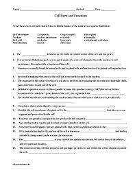 We did not find results for: What Are The Parts Of A Plant Cell And Their Functions Shefalitayal