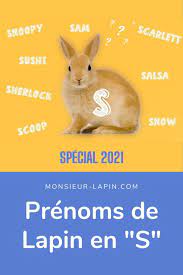 Prenoms De Lapin Femelle Et Male En S Pour 2021 En 2021 Prenom Lapin Prenom Animaux Lapin