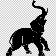 African Elephant Png Animals Black Carnivoran Cat Like Mammal Dog Like Mammal Animal Drawings African Elephant Elephants Photos