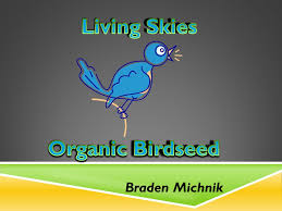 We would like to show you a description here but the site won't allow us. Braden Michnik Product Certified Organic Birdseed Blended For Canaries Budgies And Finches Ingredients Mixture Of Organic Canary Seed Millet Ppt Download