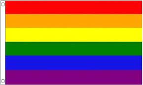 Dit betekent dat u altijd op hoogstaande kwaliteit vertrouwt. Bol Com 2x Regenboog Lgbt Vlaggen 60 X 90 Cm Pride Vlag Regenboog Vlag 2 Stuks