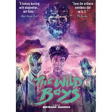 Collect bonus rewards from our many partners, including amc, stubs, cinemark connections, regal crown club. The Wild Boys Dvd Walmart Com In 2020 Movies For Boys Free Movies Online Full Movies Online Free