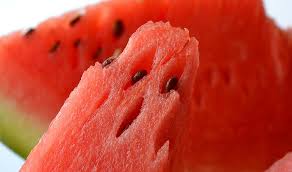 Jedoch gibt es zahlreiche melonensorten der citrullus lanatus, die deutlich kleiner und aromatischer sind. Melonengarten Alles Uber Melonen