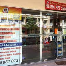 All the tools and accessories you need to give you dear kitty everything she needs. Photos At Mesra Pet Shop Pet Store