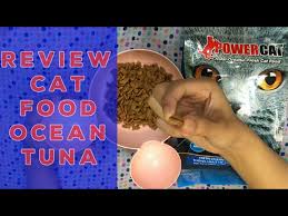 We did not find results for: Radio Kucing Litetube