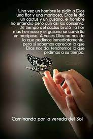 Pin By Ivonne Lara On Motivacion Wisdom Quotes Inspiration Wisdom Quotes Inspirational Words