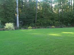 When used as directed, it won't burn the lawn. Recommendations For Where And What Brand Fescue Grass To Buy For Reseeding Raleigh Farmers Market Best Raleigh Durham Chapel Hill Cary North Carolina Nc The Triangle Area Page 2 City Data Forum