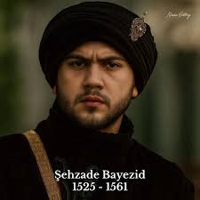 Magnificent Century Suleiman