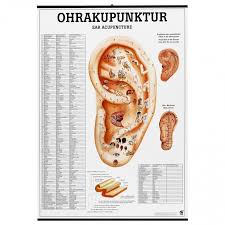 Acupunctureworld Ear Acupuncture Poster German English