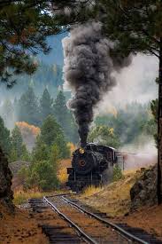 Sumpter Valley Train Tren Geziler Seyahat