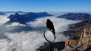 …at the foot of the grosser mythen (6,230 feet 1,899 m), subject only to the count of the zürichgau, as representing the german king. Grosser Mythen Chregublog Marba Ch