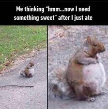 Pin On That Would Be Me