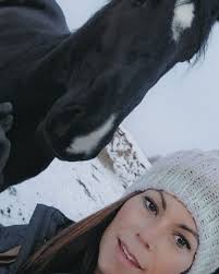 DB Construction 2016