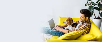 We offer car insurance, home insurance and other personal insurance through independent safeco insurance is a proud part of liberty mutual insurance, a fortune 100 company2 and the. Pet Insurance Inszone Insurance