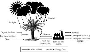 Atp is energy for the cells. Input Output Optimisation Model For Sustainable Oil Palm Plantation Development Sciencedirect