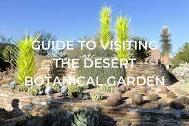 Desert botanical garden was our family destination for mothers day. Guide To Visiting The Desert Botanical Gardens One Trip At A Time