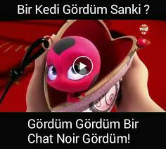 Mucize Ugur Bocegi Ile Kara Kedi Caps Wattys2016 Bir Kedi Gordum Sanki Wattpad