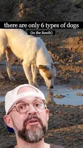 Gloria Huling's Instagram, Twitter & Facebook