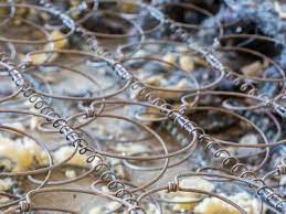 Das sofa ist der mittelpunkt in jedem wohnzimmer und zieht schon beim betreten des raumes alle blicke auf sich. Federkern Stabilitat In Der Mitte Sofa Ratgeber De