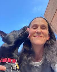 Lost Dog! Logan, Chow Golden Retriever Mix Jumped the fence at Greenmore  Rescue today. Last seen near Rt 842 ( Clonmell Upland Rd) and Thouron Rd  late this afternoon. Please call or