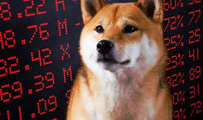 Existing circulation, market capitalization, volume of transactions and more details of shiba. Nvkhbkm3xfskmm
