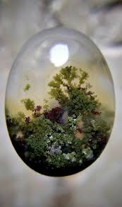 Looks Like A Terrarium Crystals Minerals And Gemstones Rocks And Gems