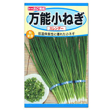 葉ネギの育て方 植物ノート