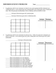 Dihybrid cross of fish(easy) genetics crosses with two traits(harder) dihybrid crosses in guinnea pigs these type of crosses can be challenging to set up, and the square you create will be 4x4. Genetics Dihybrid Two Factor Practice Problem Worksheet Genetics Practice Problems Dihybrid Cross Genetics Lesson