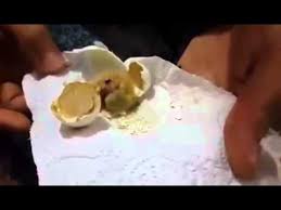 Kalorifer Peteginde Guvercin Yumurtasi Cikar Mi Youtube
