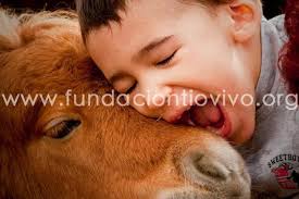 Amigos de Fundación Tiovivo