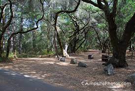 Maybe you would like to learn more about one of these? Henry Cowell Redwoods State Park Campsite Photos Camping Info