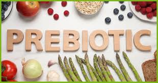 Prebiotics, Probiotics, and Postbiotics - Markham Integrative Medicine