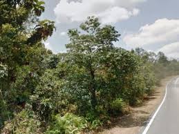 Popular cities in negeri sembilan. Kuala Pilah Ejen Hartanah Seremban Bangi Seri Kembangan Puchong Putrajaya