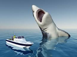 Megalodon Kopekbaliginin Gercek Boyutlari Ilk Kez Ortaya Cikarildi Bursada Bugun Bursa Bursa Haber Bursa Haberi Bursa Haberleri Bursa