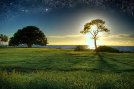 Image result for islamic pic