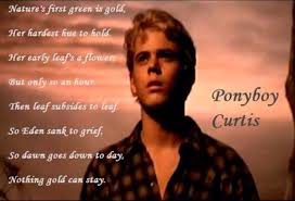 What did it mean when johnny told ponyboy to stay gold? 4. The Outsiders I Q By Brandon Tropea
