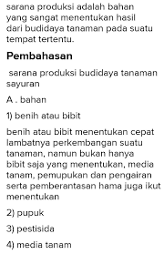 Soal Dan Jawaban Budidaya Tanaman Sayuran Info Lif Co Id
