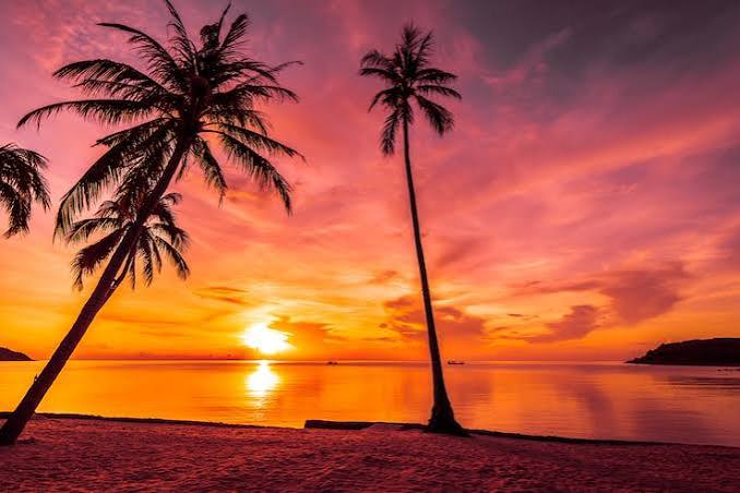 Papel de parede por do sol Imagens – Download Grátis no Magnific (antes Freepik)