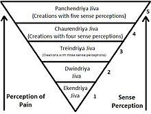 Jain Vegetarianism Wikipedia